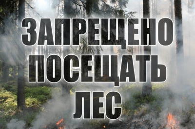 с 31 мая по 14 июня 2024 года запрет на посещение лесов