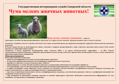 чума мелких жвачных животных памятка