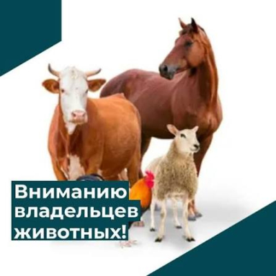 ПАМЯТКА ВЛАДЕЛЬЦУ ЖИВОТНЫХ Об обязательном маркировании и учете сельскохозяйственных животных