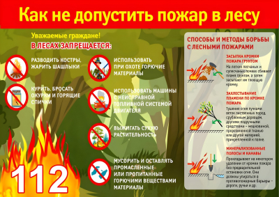 Правила пожарной безопасности при нахождении в лесных массивах