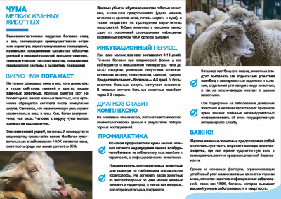 Контагиозная плевропневмония КРС и чума мелких жвачных животных