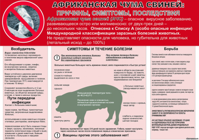 памятка по ачс
